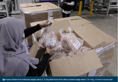 A new farm to supply fresh chicken to Singapore could be up and running in Batam if there is healthy demand over the next year.