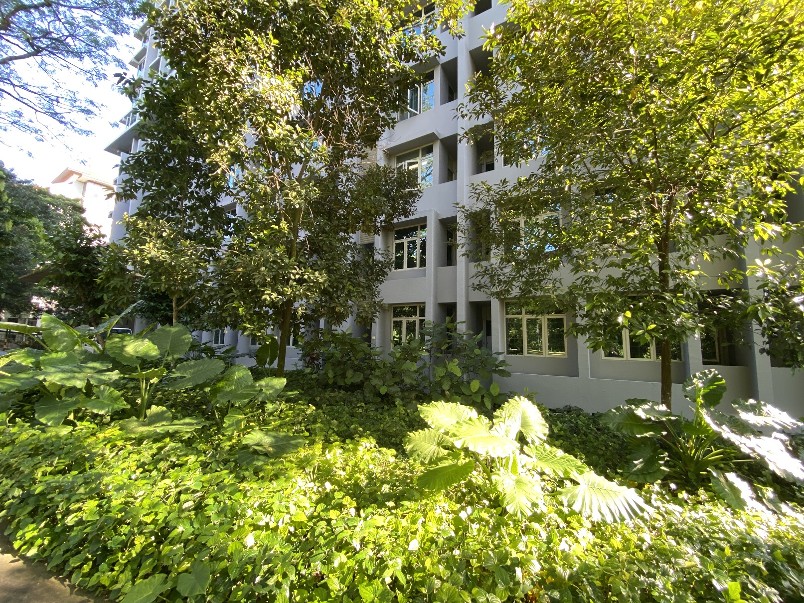 External_Grad_Hall_2