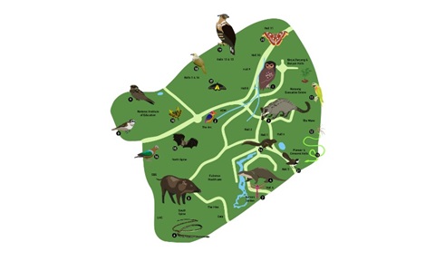 A guide to spotting campus wildlife such as owls, otters and civets