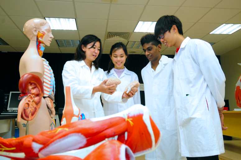 Bachelor Of Engineering In Bioengineering Ntu Singapore