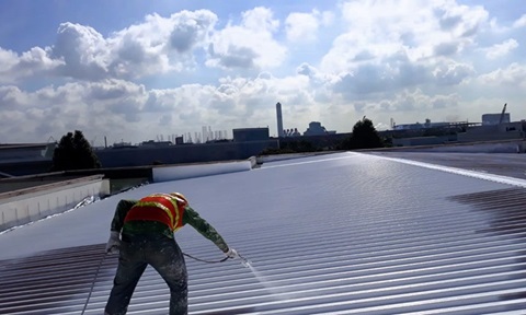 Painter painting roof
