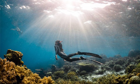 underwater