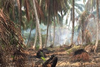 325x217_IndonesiaSept2019_edited_Shailendra Mishra