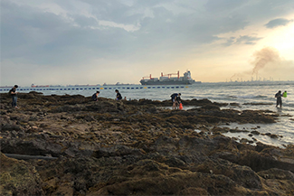 Sentosa marine excursion_325x217