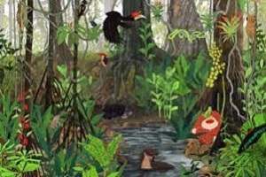 Tropical Forest Ecology Resized 300x200
