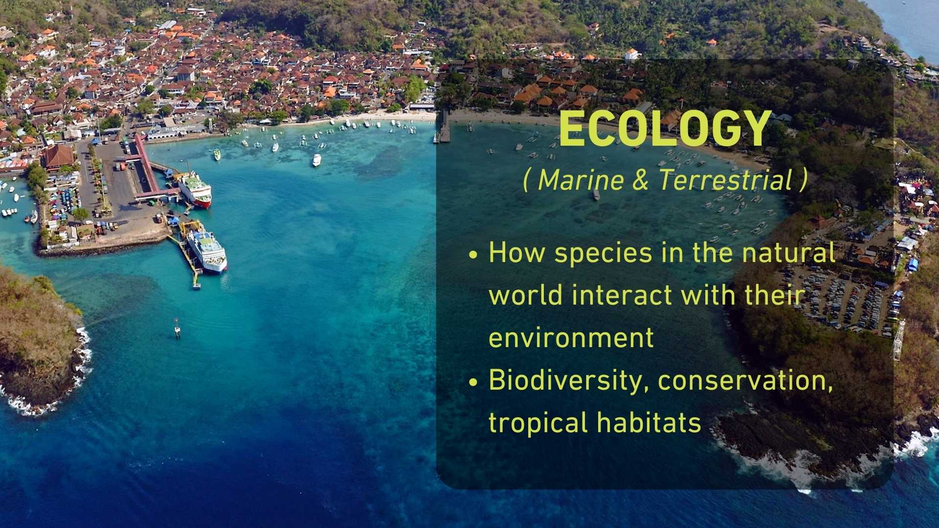 ECO WEBSITE THUMBNAIL