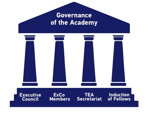 TEA Governance of the Academy