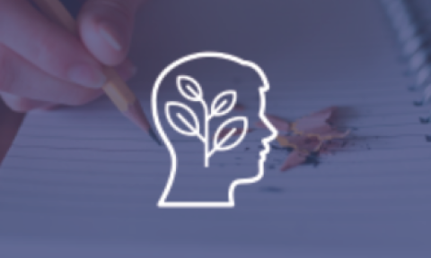 Knowledge and Growth Icon