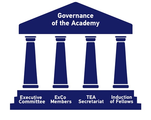 TEA Governance of the Academy