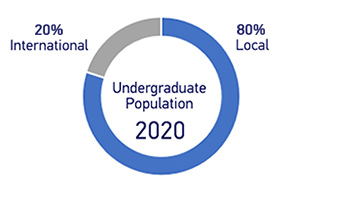 undergraduate population 2020