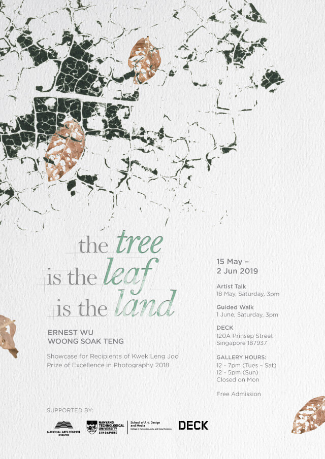 2019-the-tree-is-the-leaf-is-the-land-klj-poster.jpg