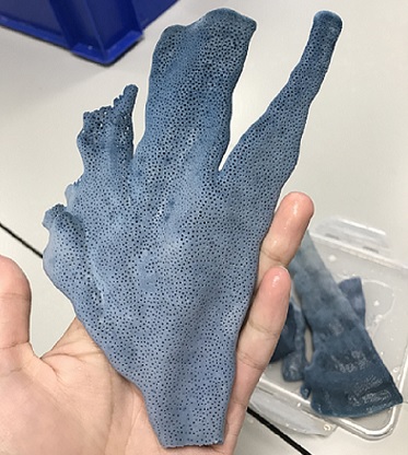 Blue_Coral_Small.jpg