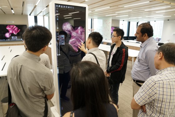 DR205114 (Custom).JPG