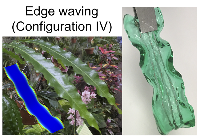 Press_EdgeWaving.png