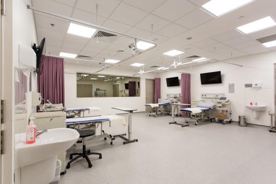 Simulated Ward.jpg