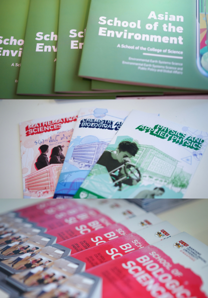 Undergraduate programmes (mobile)