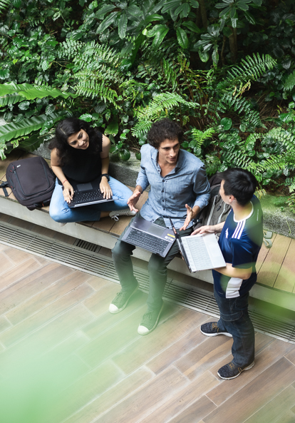 VVS-NTU-GC-0724(Final)-Mobile