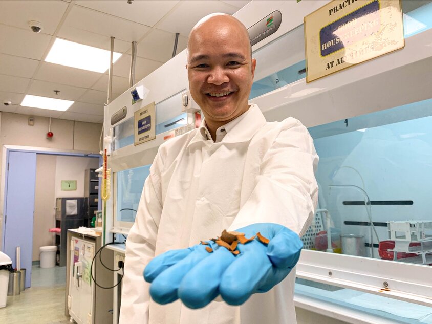 Assistant Professor (Steve) Cuong Dang displaying pieces of tamarind shell. 