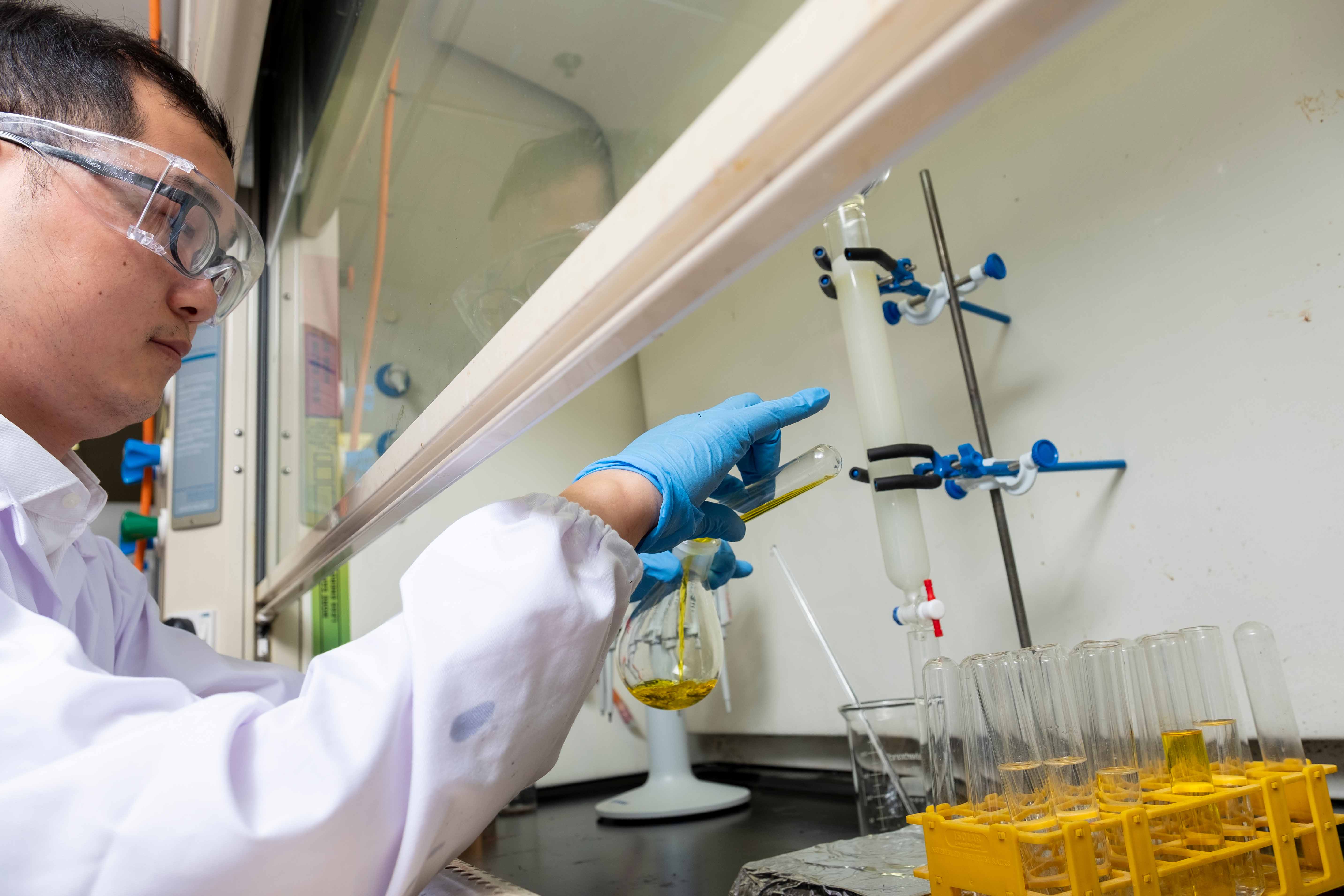 Research fellow Dr Huang Jingsheng from NTU Singapore’s School of Chemistry, Chemical Engineering and Biotechnology preparing new anti-brain cancer compounds in a fume hood 