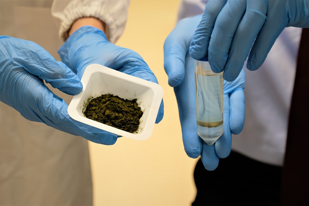 Powdered microalgae that has been washed, dried, and treated with methanol by NTU researchers, with a vial of oil produced from microalgae on the right.