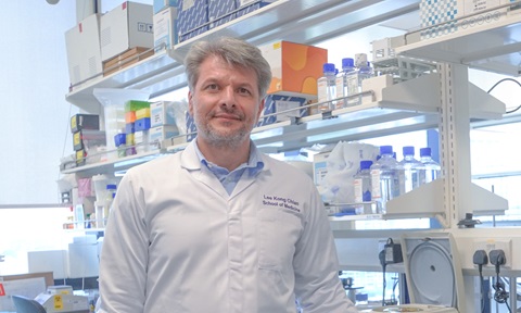Kristijan Ramadan, Toh Kian Chui Distinguished Professor in Cancer and Stem Cell Biology at the Lee Kong Chian School of Medicine in NTU, and Honorary Senior Researcher at the Department of Oncology in the University of Oxford.