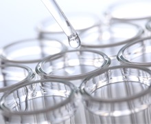 BS 2nd major in Structural Biology