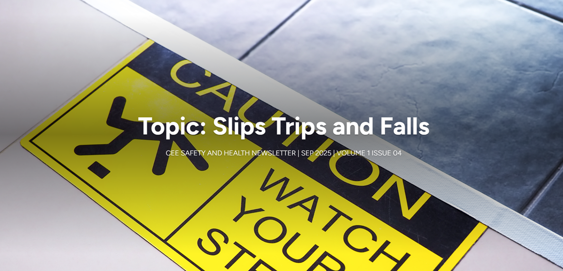 Slips Trips and Falls