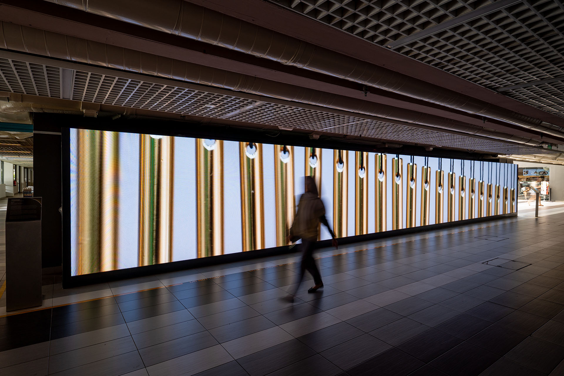 Installation view of Turn on by Tromarama