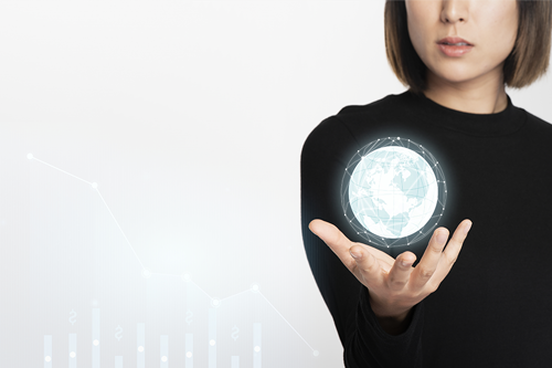 Regional Executive Programmes