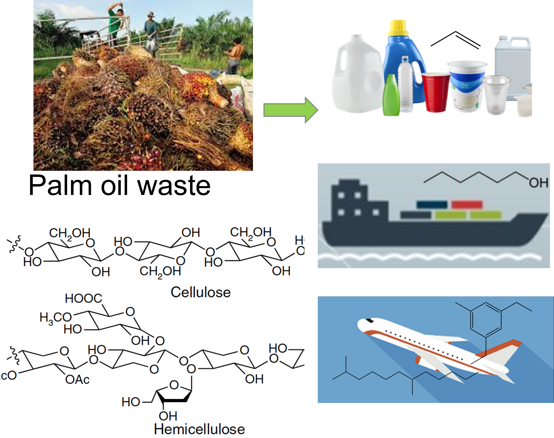 Research Area 1 - Biomass Conversion to Low Emission Fuels