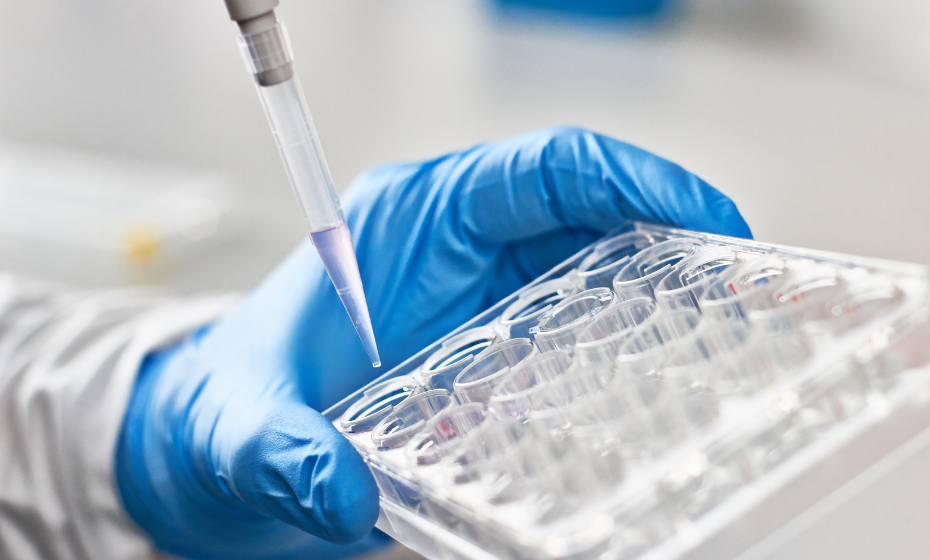 ElastoWell - Growing Cells in a Lab