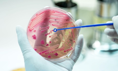 Antimicrobial Peptides