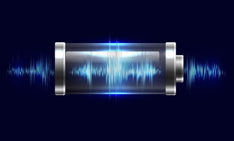 Hierarchical Porous Carbon Host