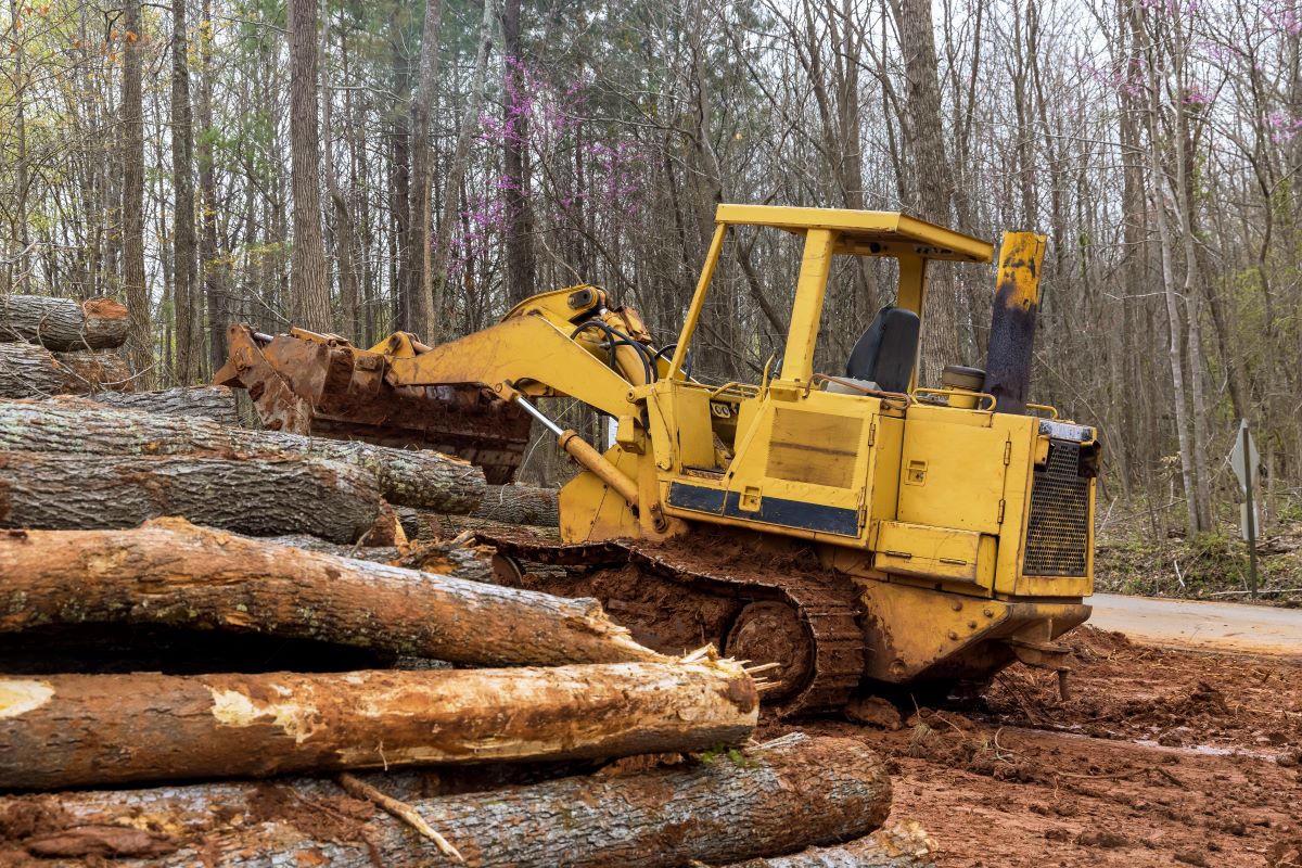 Backhoe for forestry work during clearing forest