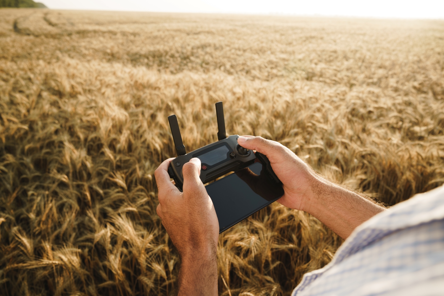 Male hands holding remote controller of quadcopter in wheat field, close up