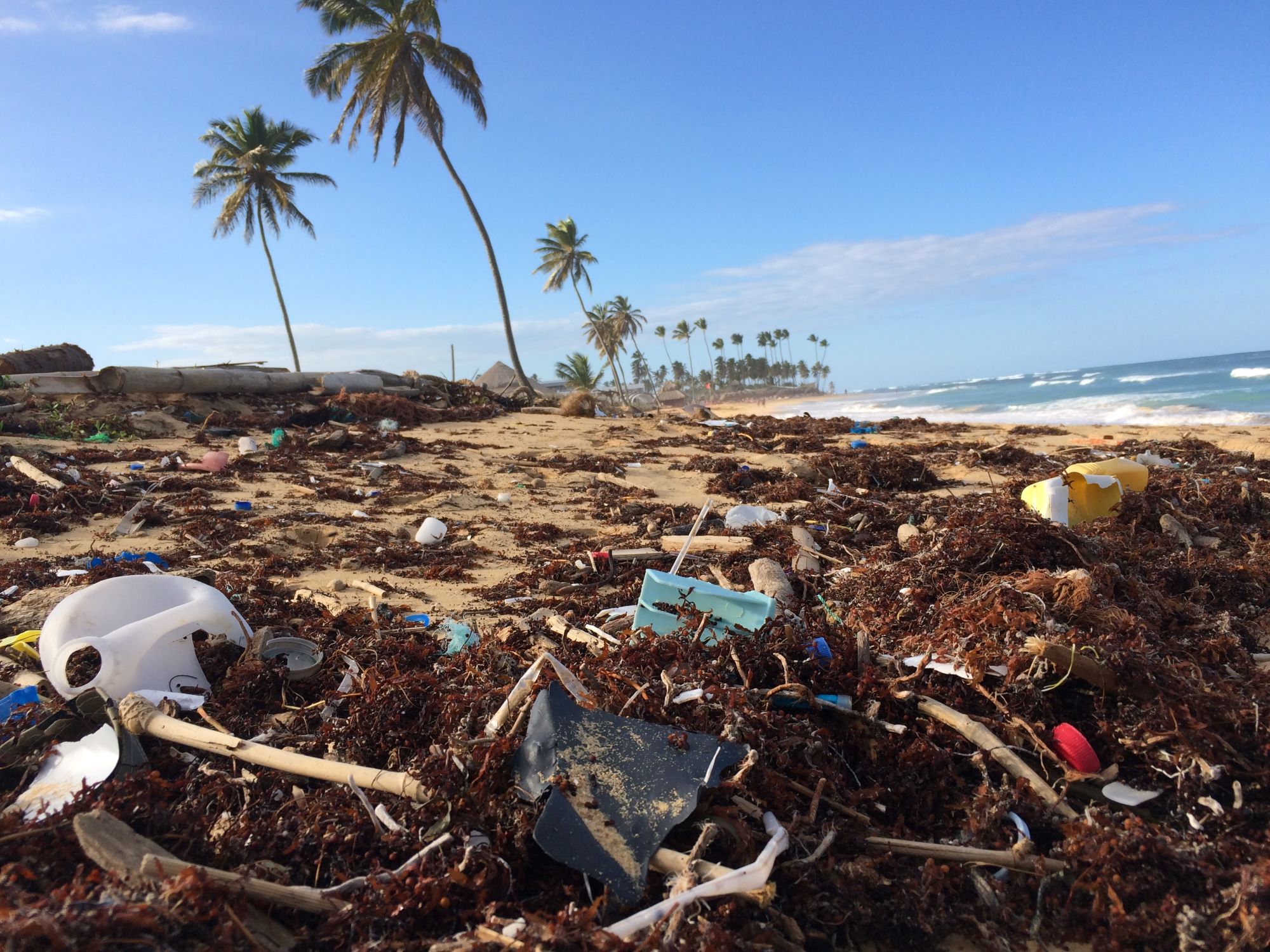 Plastic littered on a beach.