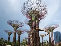 Garden By the Bay 