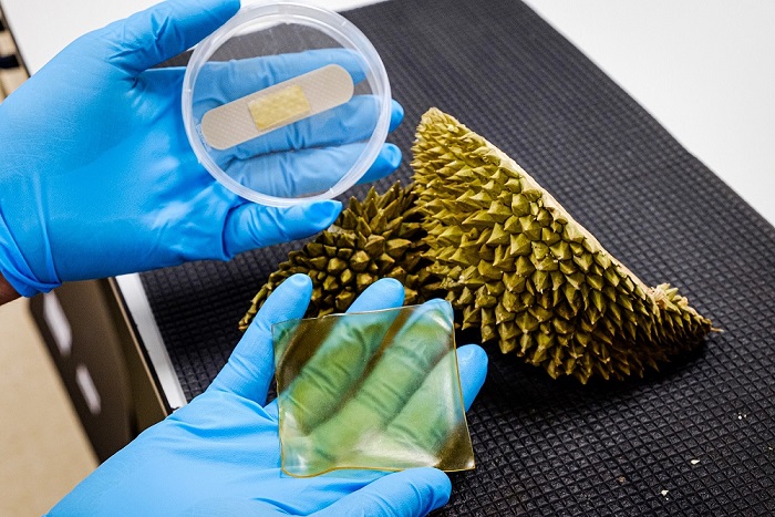 Gel bandages and plasters made from discarded durian husks protect wounds and reduce food waste at the same time.