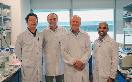 Discovering the structure of a key part of our chromosomes | Research ...