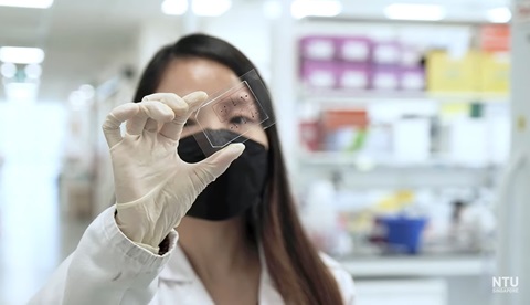 A new method to assess the risk of vascular inflammation in diabetes patients has been developed by a team of international scientists from #NTUsg, @Tan Tock Seng Hospital and @Massachusetts Institute of Technology (MIT)