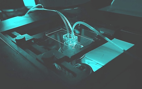 A “spleen-on-a-chip” developed by a team led by researchers from Nanyang Technological University, Singapore; Massachusetts Institute of Technology, USA; and France’s Institut Pasteur.