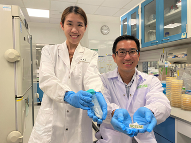 Ms Tan Li Ling, a PhD student at NTU’s School of Materials Science & Engineering, and the school's Assoc Prof Joachim Loo with the coated probiotics they developed