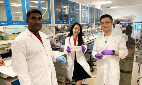 An NTU Singapore team of researchers developed a sweat-powered battery; the members include (from left) Dr Gurunathan Thangavel, Professor Lee Pooi See and Dr Lyu Jian.