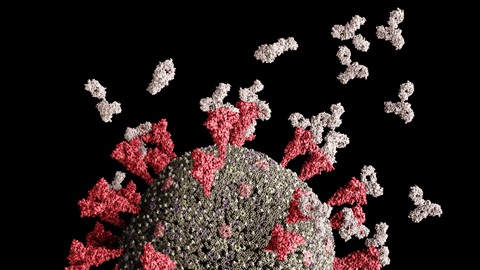 An illustration of COVID-19 coronavirus