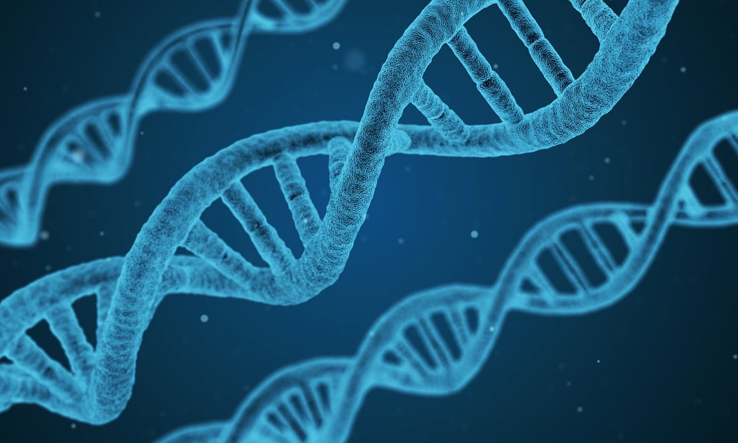 Illustration of DNA