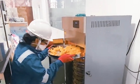 New pilot plant extracts metals from battery waste using fruit peels (NTU Singapore research)