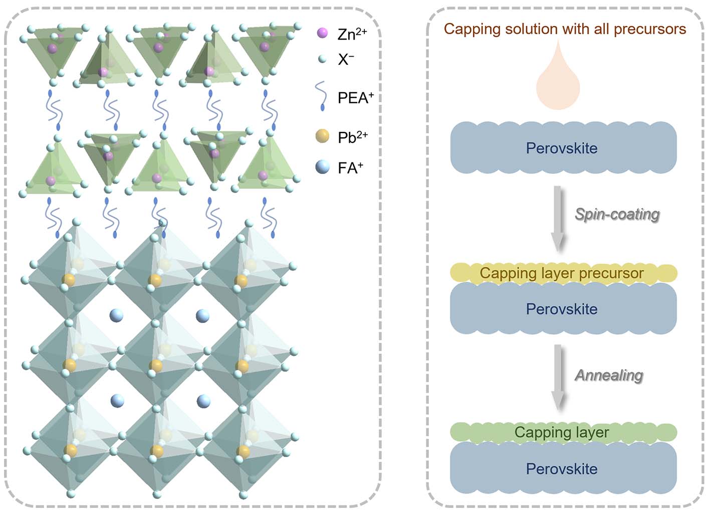 Molecular structure of perovskite and the FP method