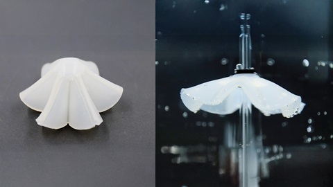 The umbrella device developed by the researchers closes when dry (left) and unfolds when wet (right).