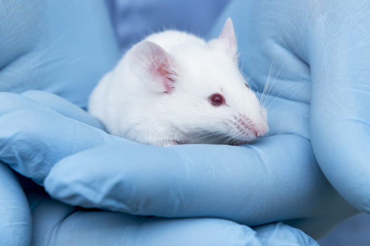 IACUC Page Thumbnail