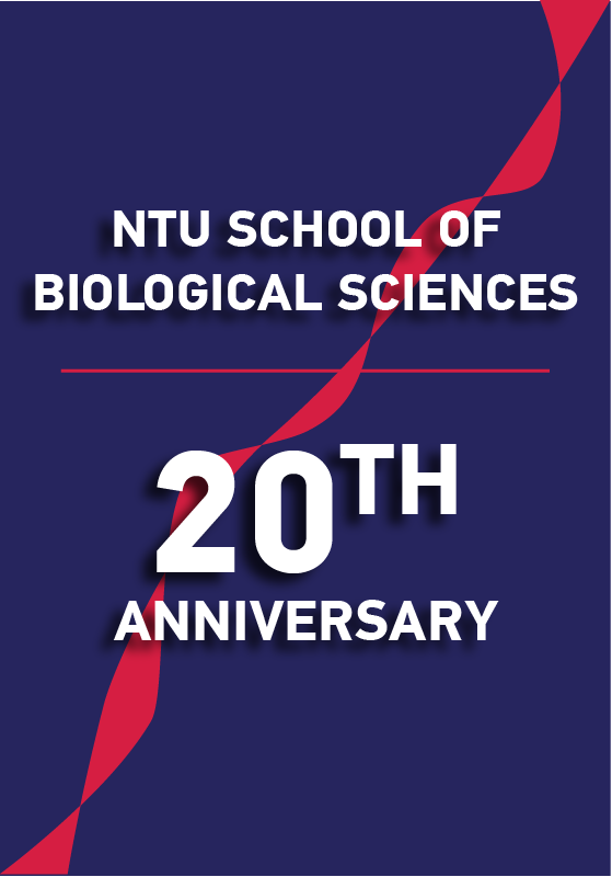 SBS 20th Anniversary